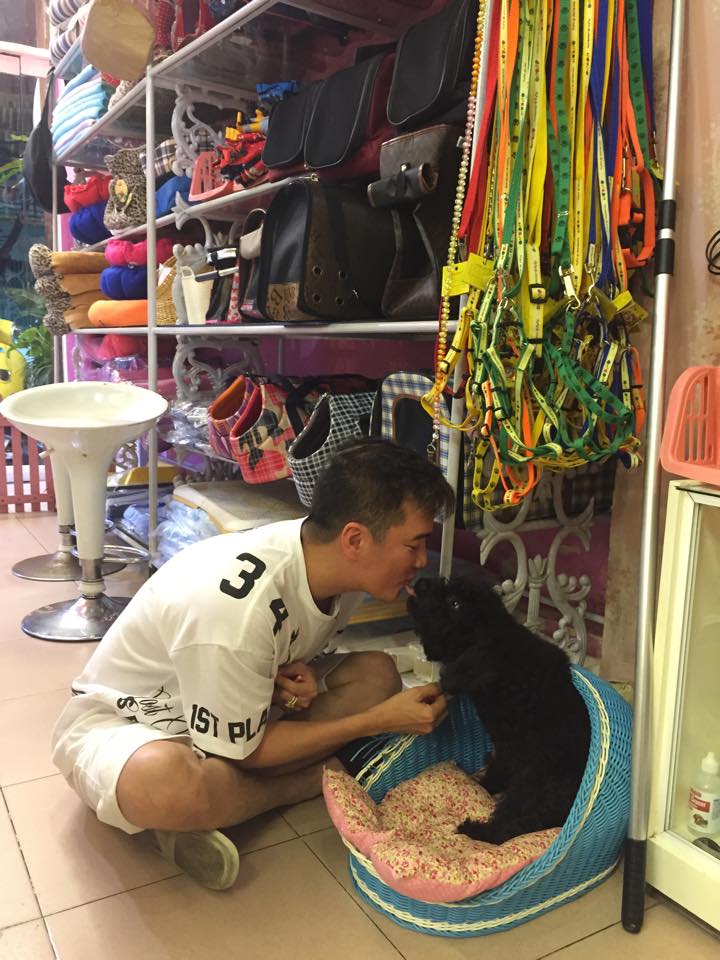 Hình ảnh Đàm Vĩnh Hưng 'hôn' cún khiến fans thích thú. Đa số đều cho rằng 'Ông hoàng nhạc Pop' là người thân thiện và yêu động vật.