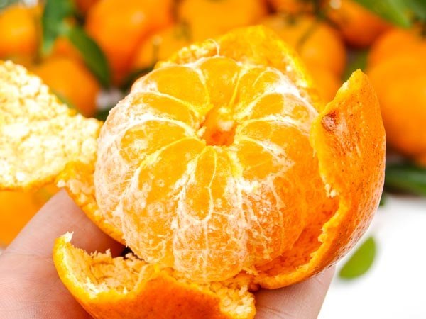 Không chỉ dừng lại ở đó, mùa hè có rất nhiều trái cây giàu vitamin c nếu bạn thường xuyên ăn sẽ đè nặng lên chức năng của thận và ảnh hưởng không nhỏ tới đường ruột.