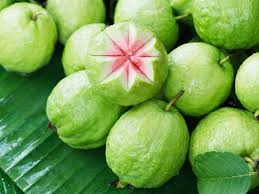 Ổi - là loại trái cây có hàm lượng dinh dưỡng khá cao, giá thành rẻ và rất quen thuộc đối với người dân Việt Nam.