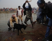 Lễ hội hiến tế được cho là liên quan đến thảm họa động đất Nepal