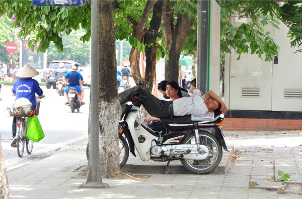 Một bác xe ôm nằm ngủ trên xe dưới những cây bằng lăng tránh nắng buổi trưa trên đường Nguyễn Khánh Toàn.