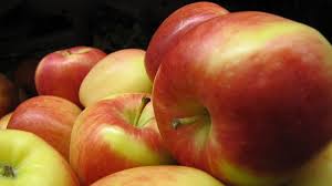 Các chuyên gia dinh dưỡng đã phát hiện thấy một quả táo có thể cung cấp 4.000 đến 6.000 chất chống oxy hóa, chống lão hóa cho cơ thể con người.