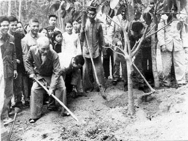 Ngày 16/2/1969, Bác Hồ trồng cây ở xã Vật Lại, huyện Ba Vì, tỉnh Hà Tây (nay là Hà Nội).