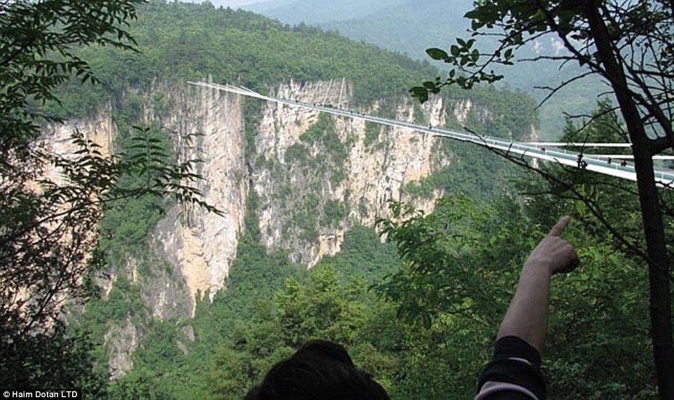 Cây cầu giúp du khách có thể dễ dàng quang sát toàn cảnh Công viên quốc gia Trương Gia Giới.