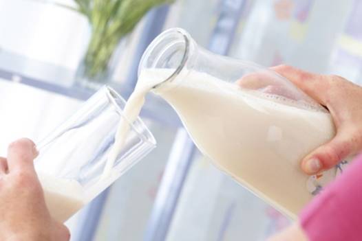 Sữa ít béo: Hàm lượng canxi từ thực phẩm và nhất là từ sữa có thể kích thích lượng chất béo tiêu đi. Điều này đã được thử nghiệm trên một số con chuột béo phì.
