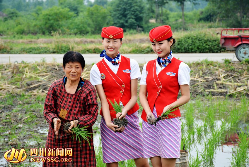 Tại đây, những nữ tiếp viên hàng không tương lại sẽ được học và tham gia cấy lúa trực tiếp cùng người nông dân.