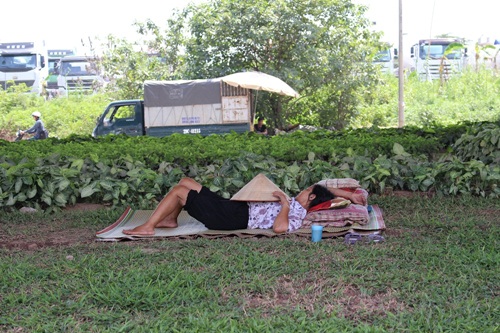 Nhiều người nằm dưới gầm cầu vượt chống nắng.