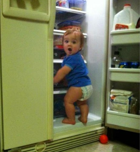 Các bé cũng có những cách vô cùng sáng tạo và đáng yêu để làm mát cơ thể. Tủ lạnh đúng là nơi lý tưởng được em bé này lựa chọn.