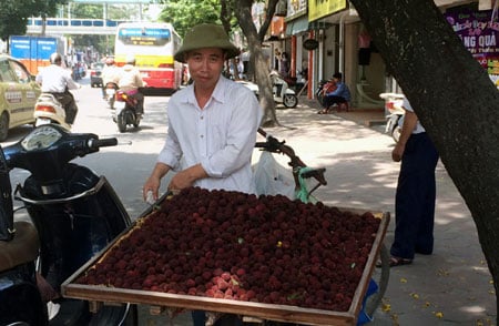 Hà Thành hớ nặng: Thanh mai Trung Quốc 8 ngàn bán 200 ngàn/kg