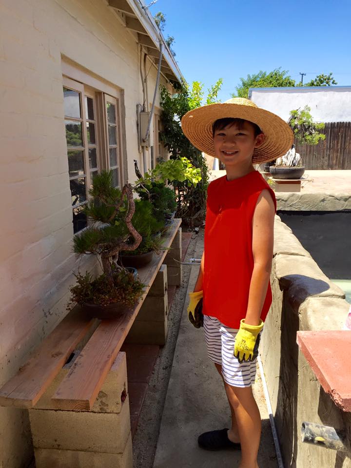 Bằng Kiều khoe ảnh con trai thứ hai giúp ảnh xếp cây bomsai trong vườn: 'Beckam giúp bố xếp sắp bonsai Biểu tượng cảm xúc smile. Father's day chỉ cần vậy thôi Biểu tượng cảm xúc smile. Happy Father's day các ông bố nhé'.