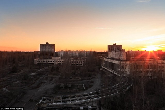 Dù có nồng độ phóng xạ cao nhất trên thế giới, vùng cách ly xung quanh Chernoby đang hồi sinh mạnh mẽ. Sau khi con người sơ tán, nhiều loài động vật phát triển mạnh ở đây.