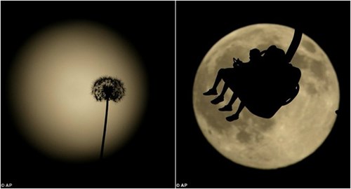 Hoa bồ công anh (trái) và công viên giải trí thế giới (phải) in bóng lên mặt trăng. Hình ảnh được chụp tại thành phố Kansas City, bang Missouri (Mỹ).