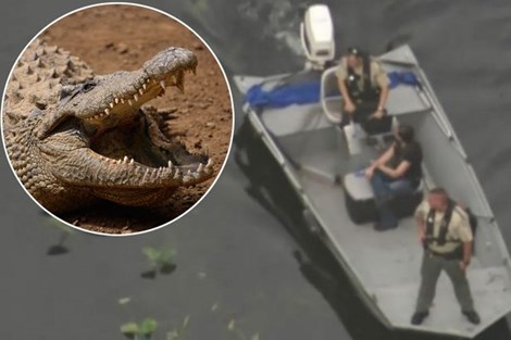 Kinh hãi người phụ nữ bị cá sấu khổng lồ cắn nát cánh tay