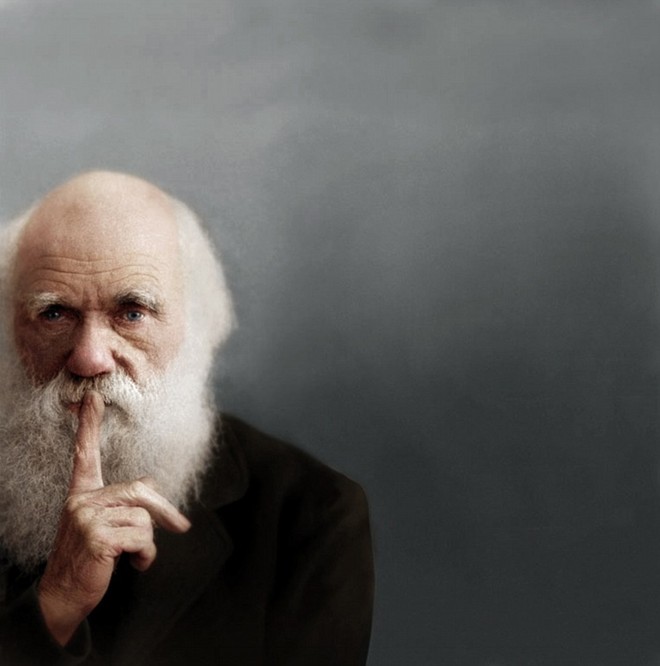 Nhà bác học Charles Robert Darwin, cha đẻ của thuyết tiến hóa. Ảnh: Wikipedia