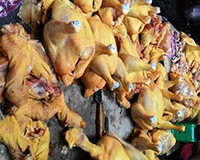 Mập mờ thông tin chất vàng ô “nhuộm” da gà