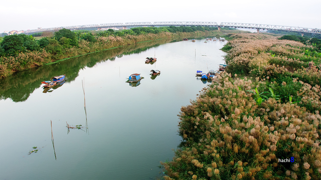 Nơi đây thu hút rất nhiều du khách tới thăm quan, chụp hình. Đặc biệt là các bạn trẻ và những cặp đôi muốn tìm điểm đẹp theo mùa để chụp ảnh cưới.