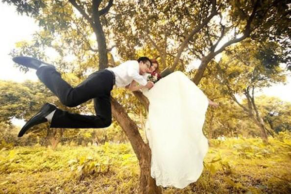 Chụp ảnh cưới trên cây.