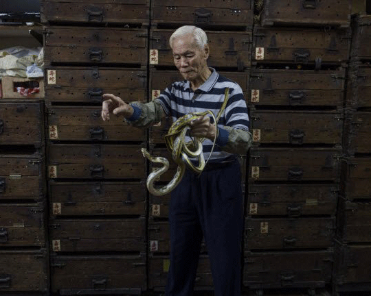 Khám phá những cửa hàng rắn truyền thống ở Hồng Kông