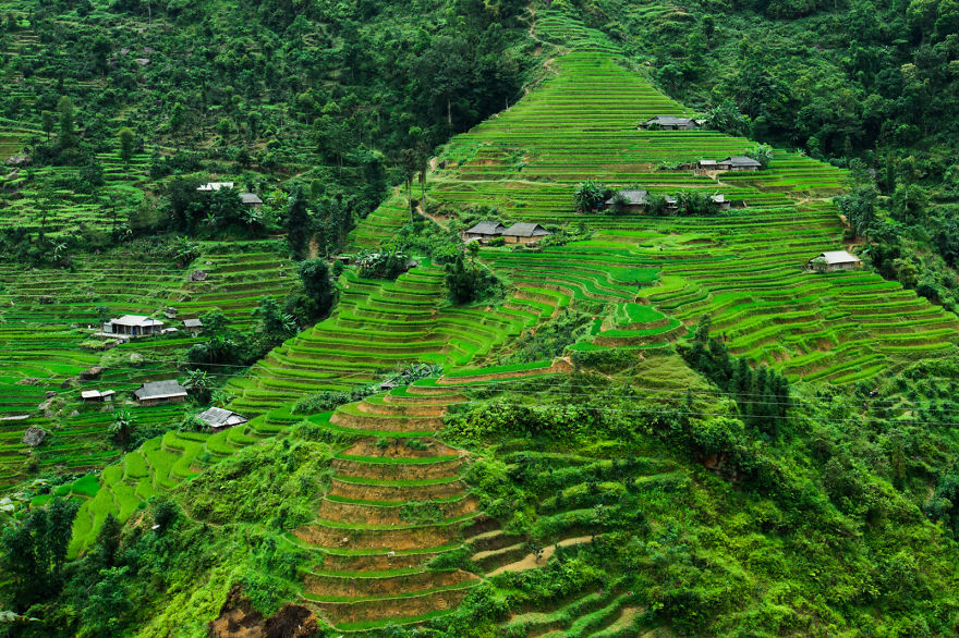 Ruộng bậc thang ở Hoàng Su Phì, một huyện biên giới của tỉnh Hà Giang.