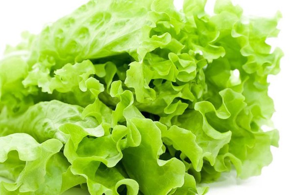Rau xà lách - Loại rau thường xuyên dùng để ăn sống hoặc trộn salad thực tế có thể chứa tàn dư hóa chất lớn hơn bạn nghĩ rất nhiều. Nếu có thể, hãy tự trồng rau sạch hoặc tìm các thực phẩm hữu cơ để thay thế.
