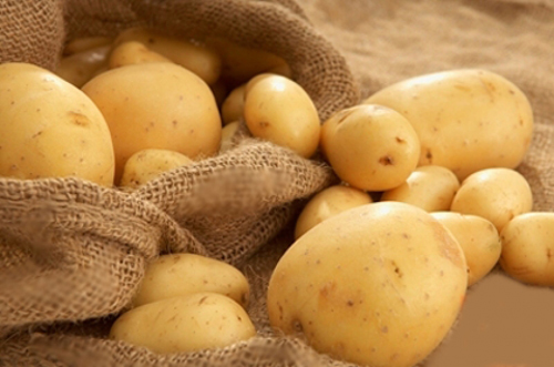 Khoai tây - Ngay từ giai đoạn thúc mầm, khoai tây đã được phun rất nhiều hóa chất để ngăn chặn sâu bọ hủy hoại phần mầm còn non và mềm.