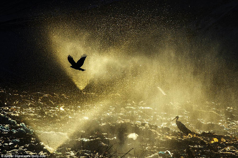 Nhiếp ảnh gia Jasper Doest từ Hà Lan giành chiến thắng ở hạng mục chụp nước. Bức hình chụp tại Marchena, Andalusia, Tây Ban Nha, ghi lại khoảnh khắc nước được xịt lên bãi rác thải đô thị để làm loãng lượng axit thải ra trong quá trình phân hủy.