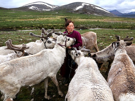 5. Người chăn tuần lộc, Mông Cổ: Nghề chăn tuần lộc đã có mặt ở Mông Cổ từ rất lâu, đây là công việc vất vả trong điều kiện rất đỗi khắc nghiệt với gió tuyết, thú dữ và sự cô độc. Ảnh: Pascal Mannaerts.