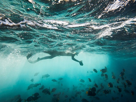 6. Đảo Floreana, Ecuador: Nằm ở vị trí biệt lập cách bờ biển Ecuador 965 km, Galápagos là nơi sinh sống của hơn 5000 loài động vật.  Màu nước trong như ngọc bích cũng là điểm thu hút các tay thợ lặn đến khám phá vùng biển này. Ảnh: Joel Sartore.