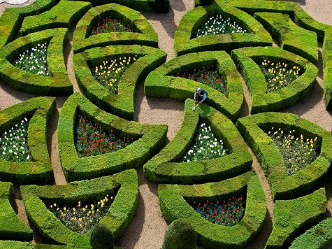 8. Villandry, Pháp: Những đường nét hài hòa này được tạo ra bởi một người làm vườn ở lâu đài Villandry. Tòa lâu đài này cũng nổi tiếng với 6 vườn cây độc đáo được cắt tỉa tỉ mỉ bao quanh. Ảnh: Emilie Chaix.