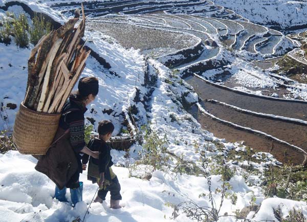 Mẹ con cậu bé người dân tộc Mông đang gánh củi đi bán, mặc cho thời tiết giá rét, băng giá và có tuyết rơi...