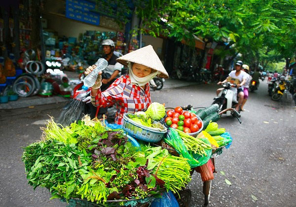 Một chiếc mẹt chằng sau xe đạp, người phụ nữ này mang cả \'4 mùa rau\' rong ruổi trên từng ngõ ngách của thủ đô.
