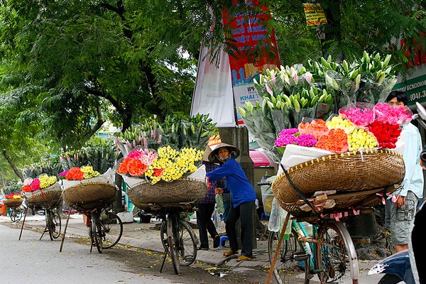 Một dãy hàng hoa trên phố Giảng Võ