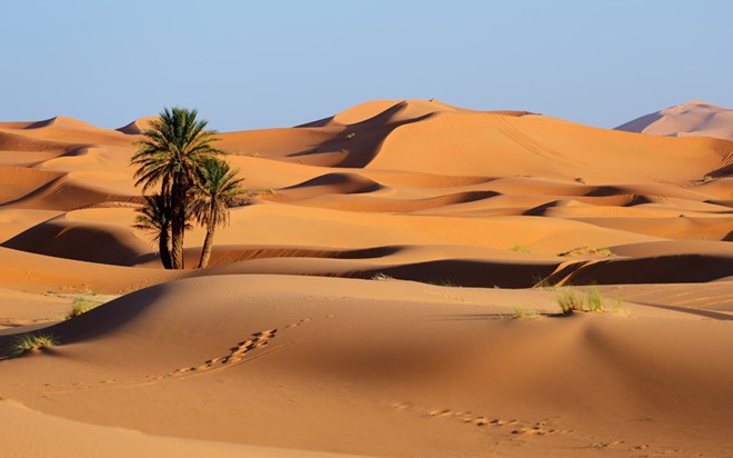 Ảnh đẹp giữa cánh đồng sa mạc có thể khiến bạn lấy lại tinh thần sau những thất bại và tuyệt vọng trong cuộc sống. Khoảnh khắc đẹp của thiên nhiên sẽ đem lại cảm giác bình yên và động lực cho bạn tiếp tục phấn đấu.