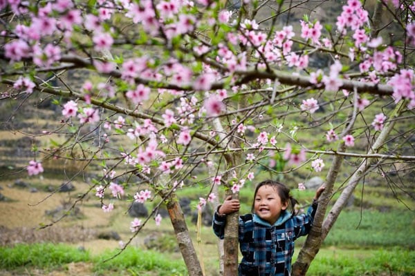 Dự báo thời tiết Tết Nguyên đán Bính Thân 2016