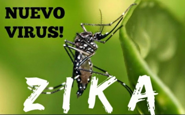 Công bố số điện thoại tư vấn về dịch bệnh do vi rút Zika