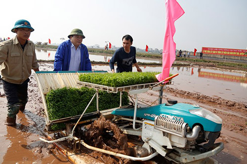 Tân Bí thư Hà Nội xuống ruộng cùng người nông dân cấy lúa