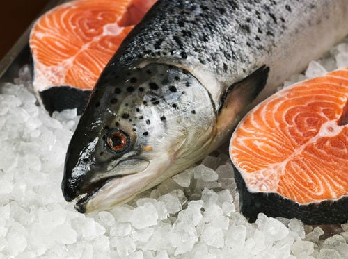Cá - Các loại cá béo (cá hồi, cá trích, cá ngừ, cá thu…) thường chứa nhiều omega-3 – có tác dụng chống viêm nên có thể làm giảm các vấn đề về thận.