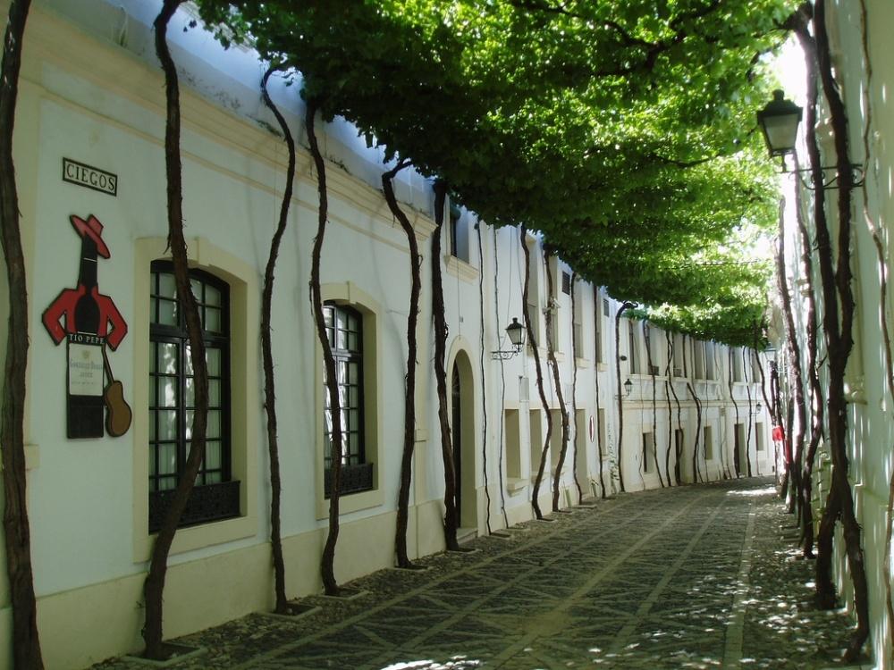 Jerez, Spain- con hẻm nằm trong thành phố Tây Ban Nha, nổi tiếng là xinh đẹp và mát mẻ, thanh tịnh