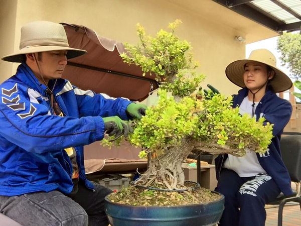 Bằng Kiều và Dương Mỹ Linh bận bịu chăm sóc cây cảnh, hai người khiến người xem thích thú vì bộ dạng dân dã như những nông dân làm vườn.