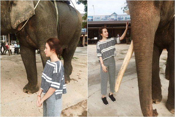 Angela Phương Trinh thích thú chụp ảnh bên 'chú voi con ở bản đôn' vào cuối tuần.