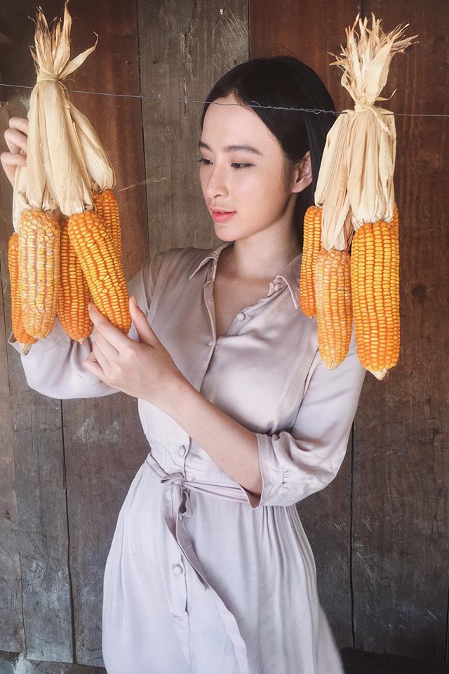 Angela Phương Trinh 'Hôm nay cô giáo Phong Linh đi hái bắp nè, cả nhà có ai muốn ăn bắp không?'.