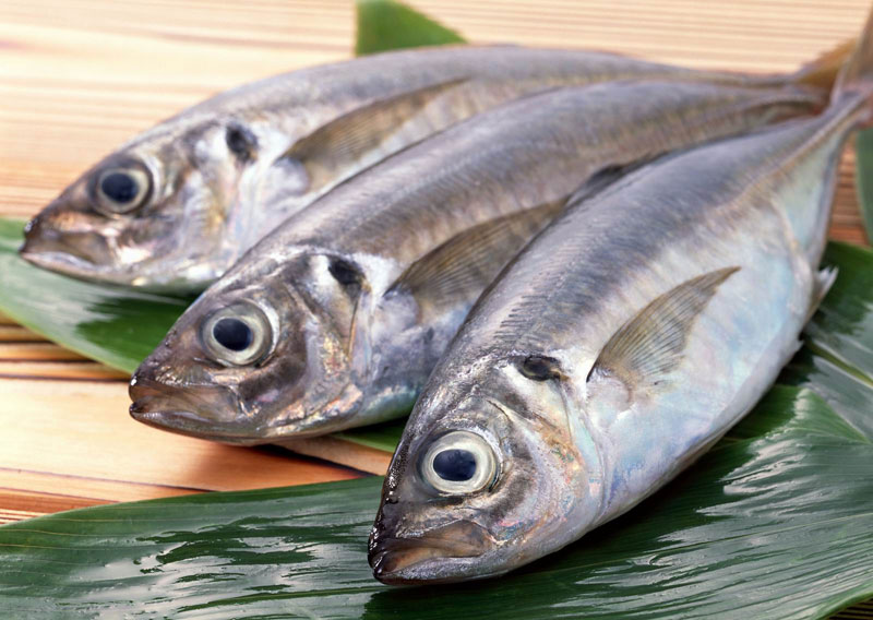 Nghiên cứu cho thấy thường xuyên ăn cá hồi, cá mòi rất giàu Omega-3 sẽ giúp phụ nữ giảm trầm cảm và giảm tỷ lệ mắc bệnh trầm cảm. Bởi vì Omega-3 có tác dụng chống trầm cảm.