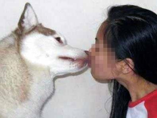 Hôn chó cưng trước khi đi làm, nữ chủ nhân bị cắn đứt môi