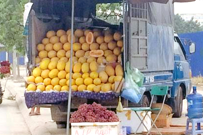 Thông báo: 8 loại hoa quả Trung Quốc nhập về Việt Nam NHIỀU NHẤT