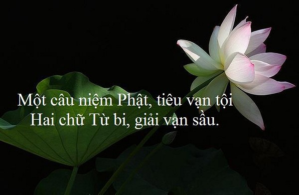 Phatgiao-org-vn-Niem-Phat-nhu-gao-bo-vao-binh-bau-0