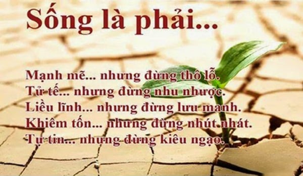 stt-hay-ve-cuoc-song-va-hinh-anh-y-nghia-nhat-6