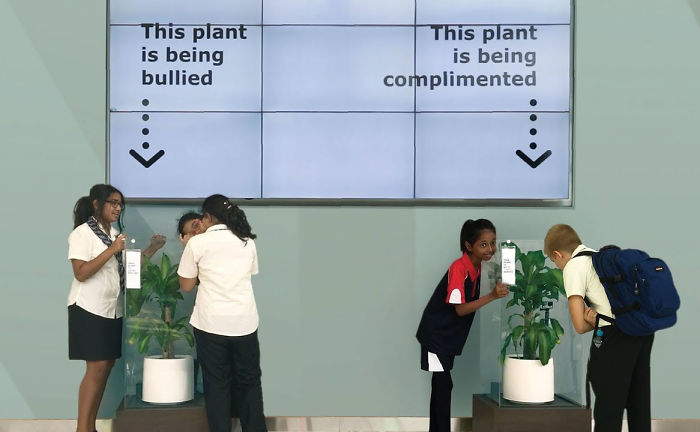 what-happens-when-you-bully-an-ikea-plant-5af0380a2e570__700