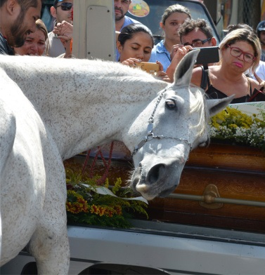 Owner-Dies-Suddenly-Then-His-Grieving-Horse-Smells-His-Casket-And-Breaks-Down-At-The-Funeral...