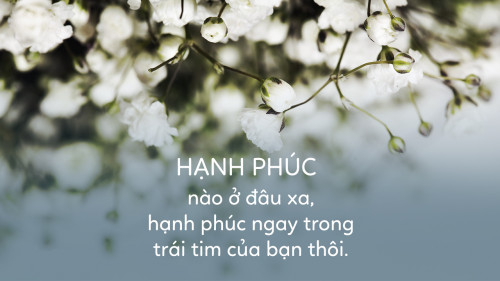 Hanhphuc2
