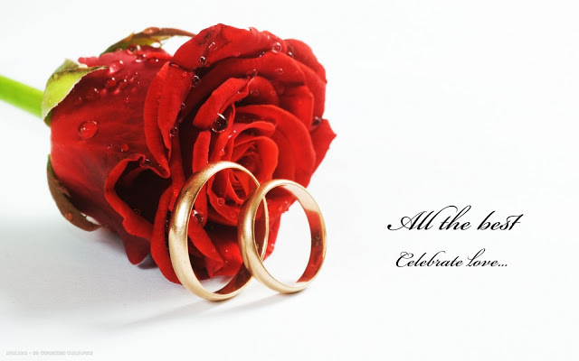 wedding-rings-red-rose-flower-celebrate-love